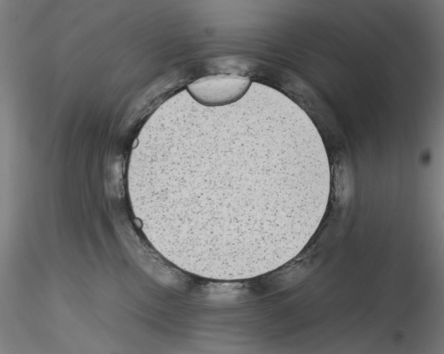 X0000115600378200912221151