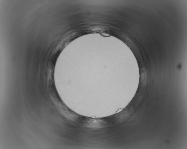 X0000115600379200912221151