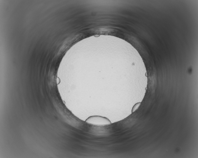 X0000115600381200912221151