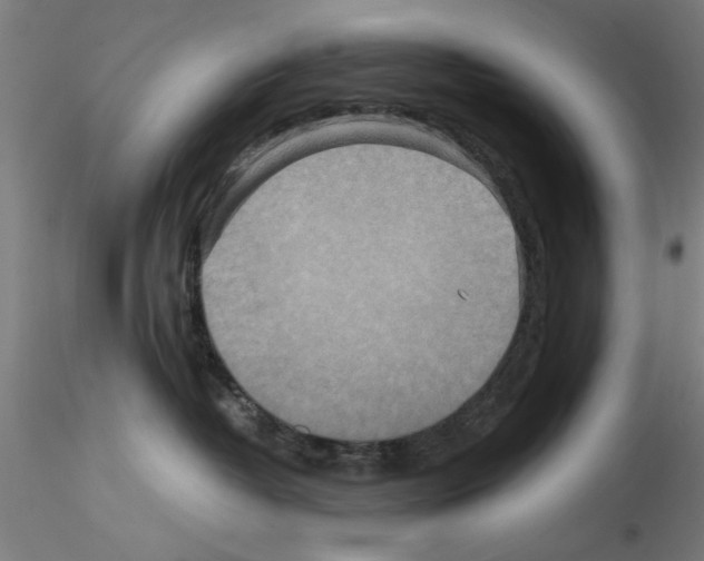 X0000115600382200912221151