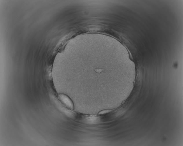 X0000115600383200912221151