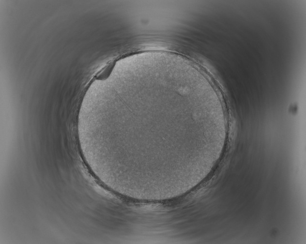 X0000115600385200912221151