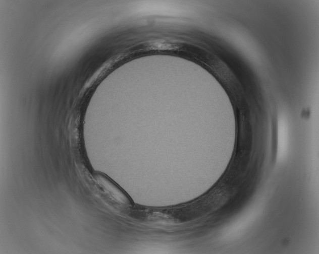 X0000115600387200912221151