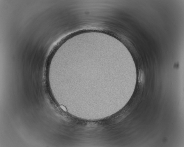 X0000115600388200912221150