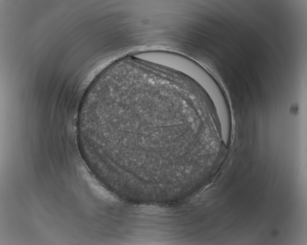 X0000115600389200912221150