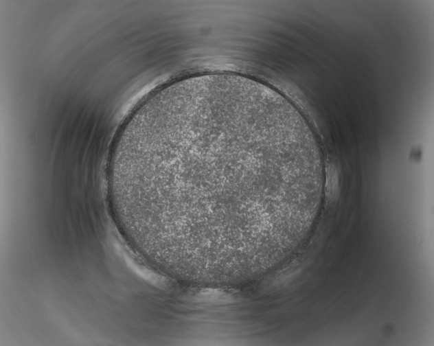 X0000115600390200912221150