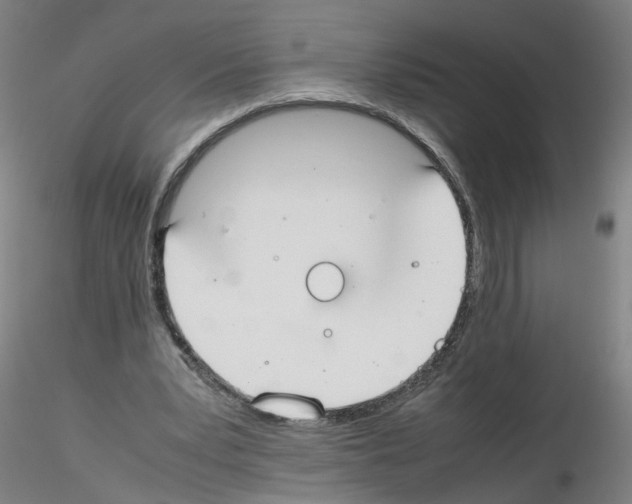 X0000115600391200912221150