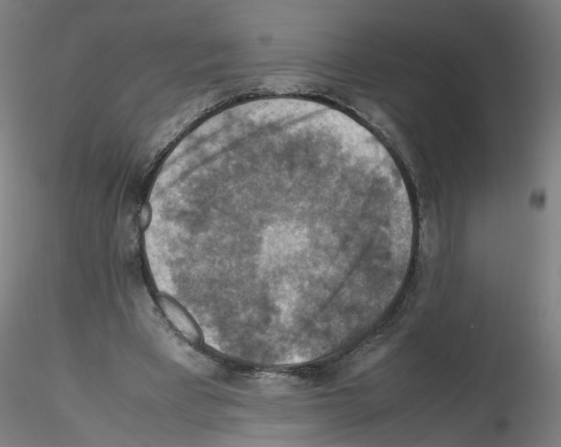 X0000115600393200912221150