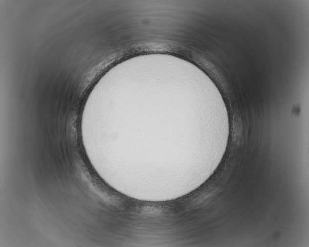 X0000115600394200912221150