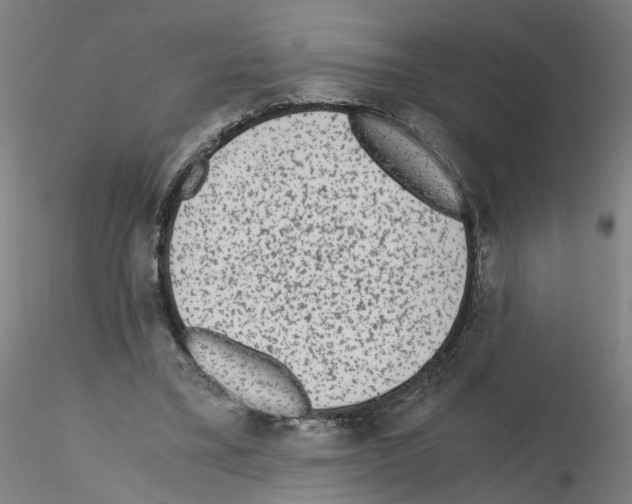 X0000115600395200912221150