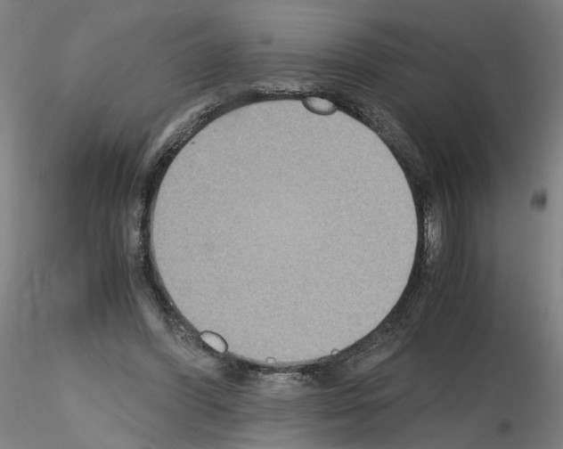 X0000115600396200912221150