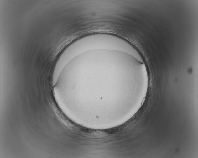 X0000115600397200912221150