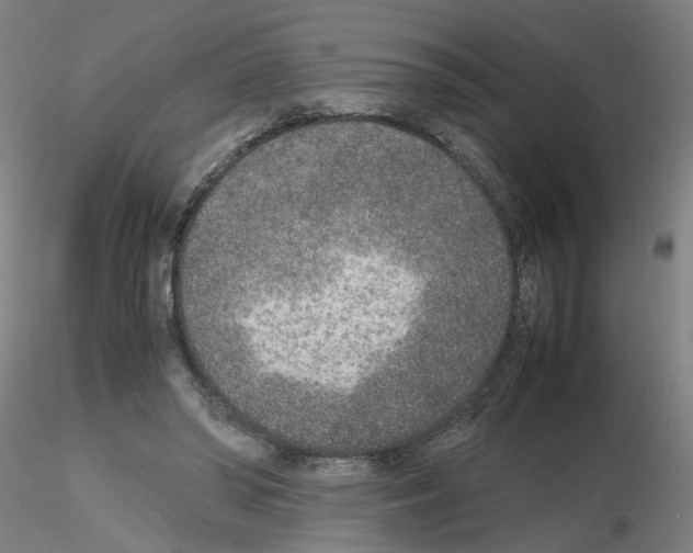 X0000115600398200912221150