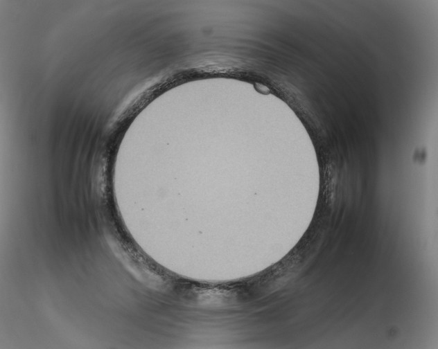 X0000115600400200912221150