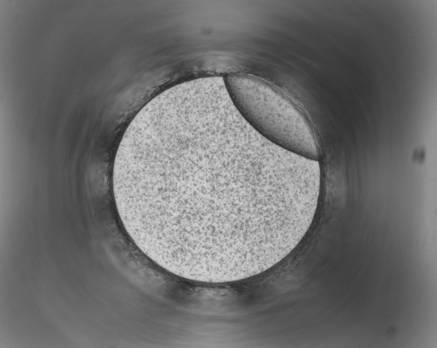 X0000115600401200912221150