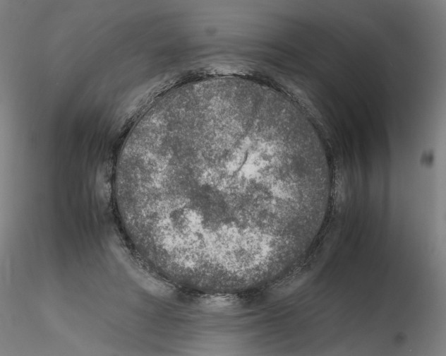 X0000115600402200912221150