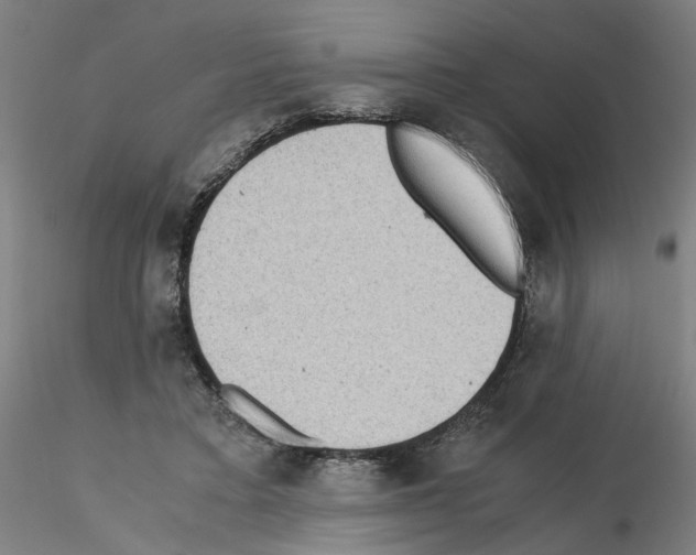 X0000115600403200912221150