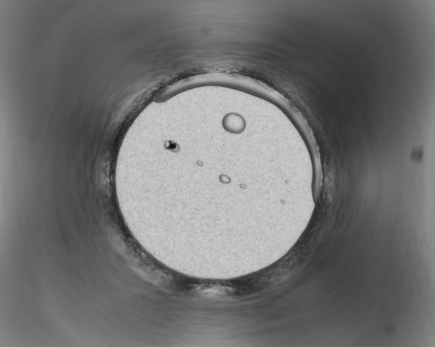 X0000115600407200912221150