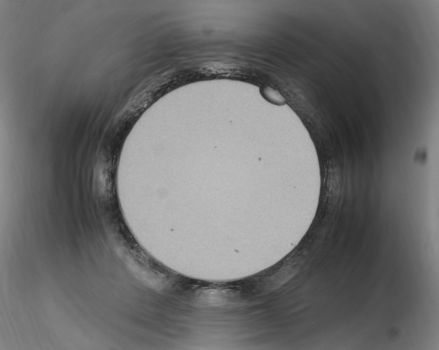 X0000115600408200912221150