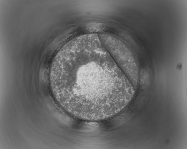 X0000115600409200912221150