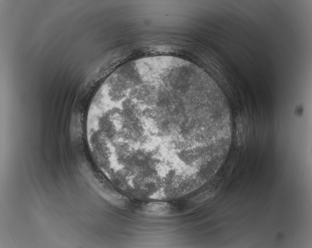 X0000115600410200912221150