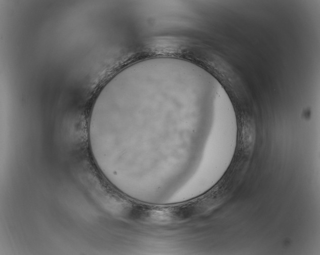 X0000115600411200912221150