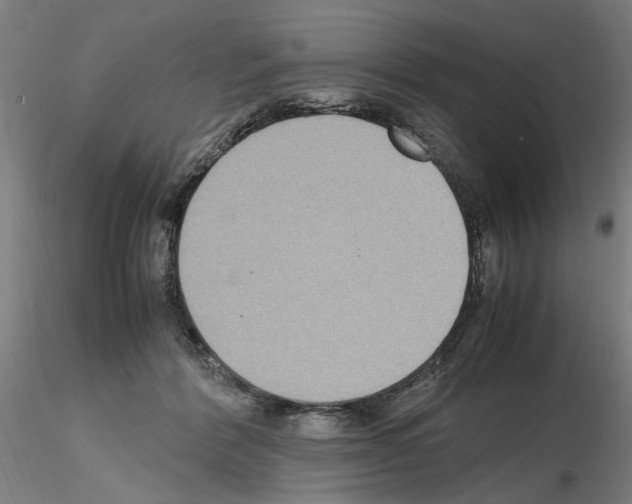 X0000115600412200912221150