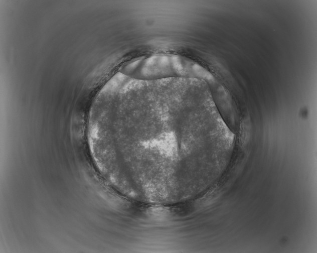 X0000115600413200912221150