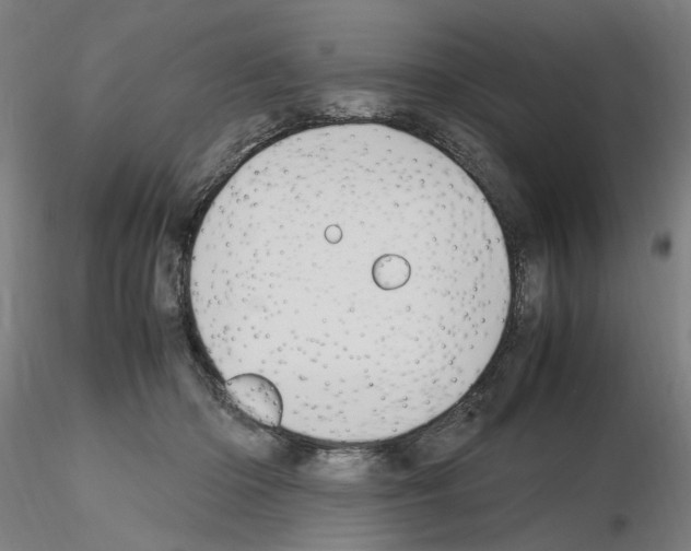 X0000115600414200912221150