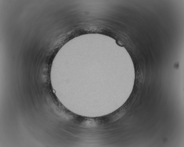 X0000115600416200912221150