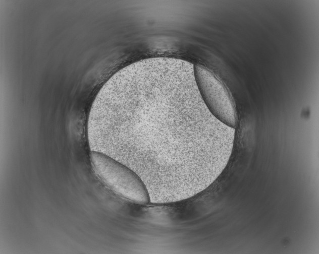 X0000115600417200912221150