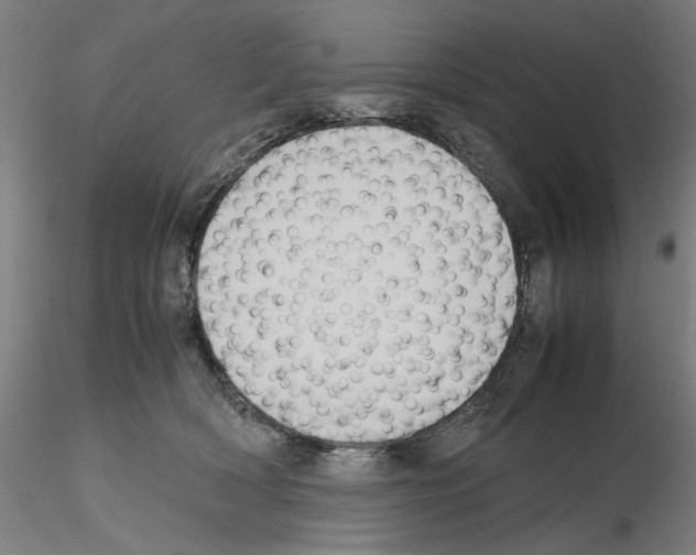 X0000115600418200912221150