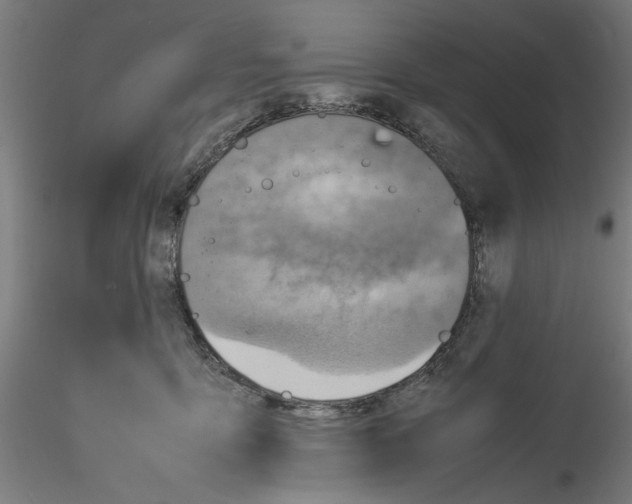 X0000115600419200912221150