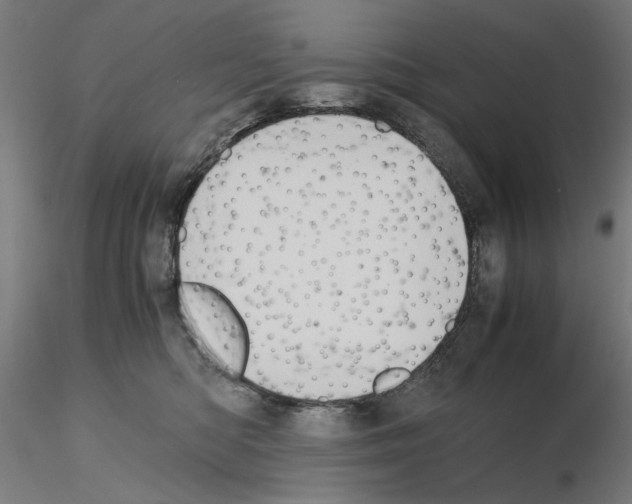 X0000115600422200912221150