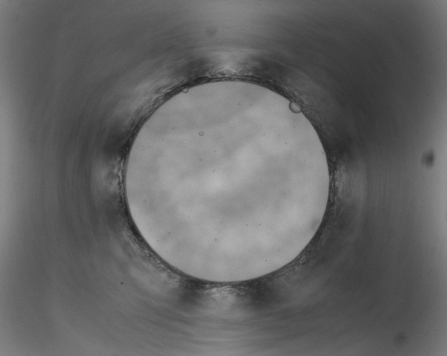 X0000115600423200912221150