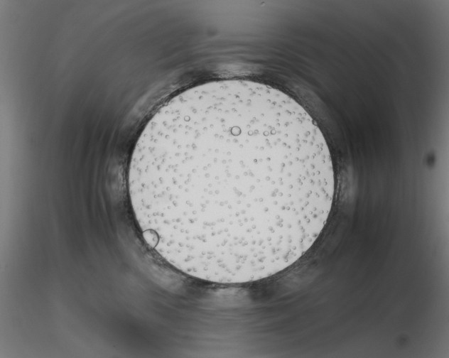 X0000115600426200912221150