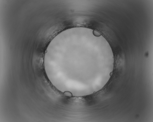 X0000115600427200912221150