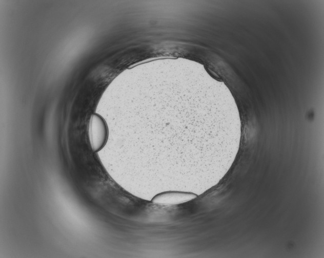 X0000115600429200912221150