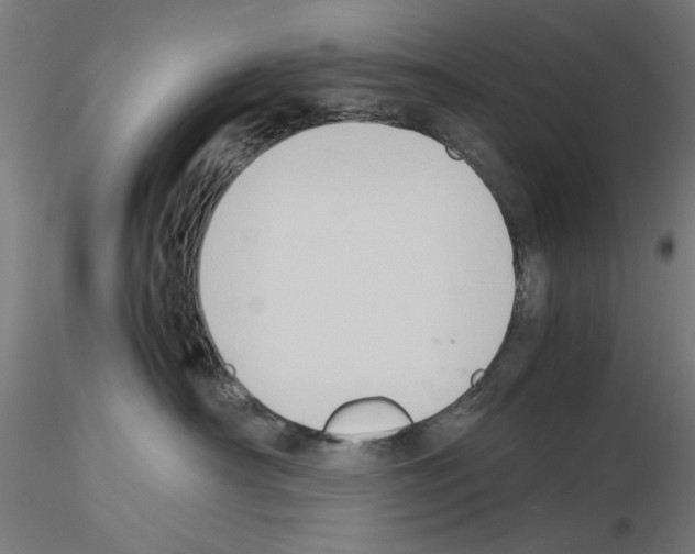 X0000115600430200912221150