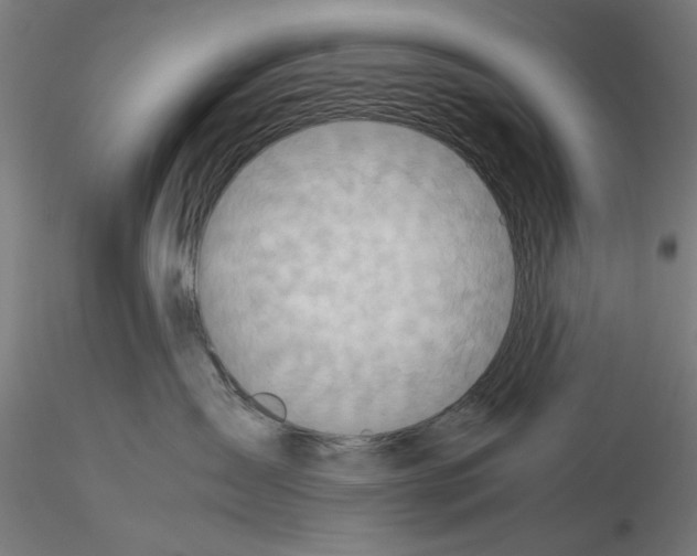 X0000115600431200912221150