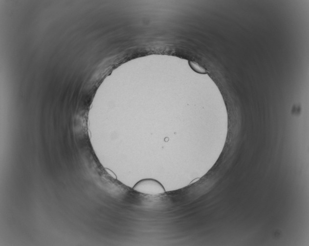 X0000115600432200912221150