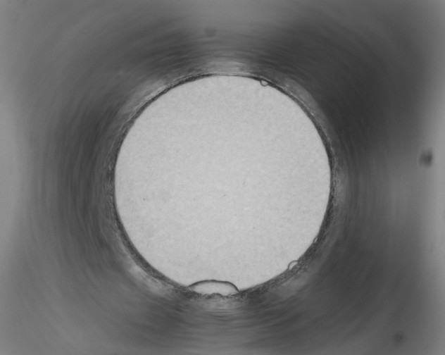 X0000115600433200912221149