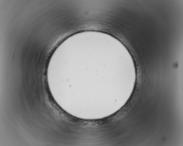 X0000115600434200912221149