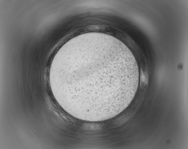 X0000115600435200912221149