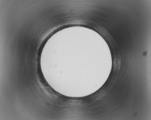 X0000115600436200912221149