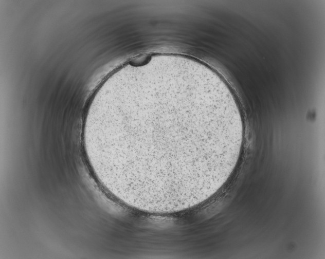 X0000115600437200912221149