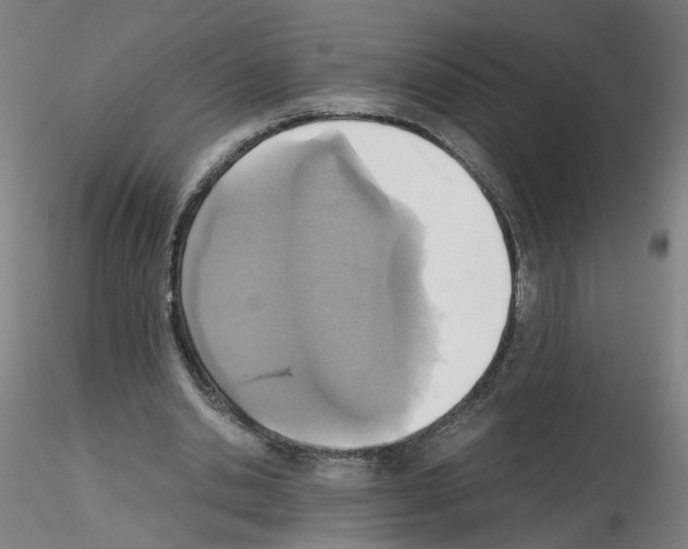 X0000115600438200912221149