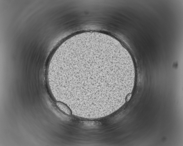 X0000115600439200912221149