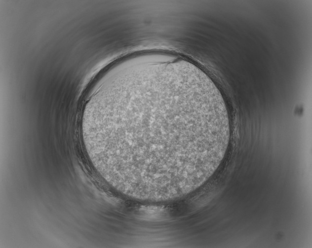 X0000115600440200912221149