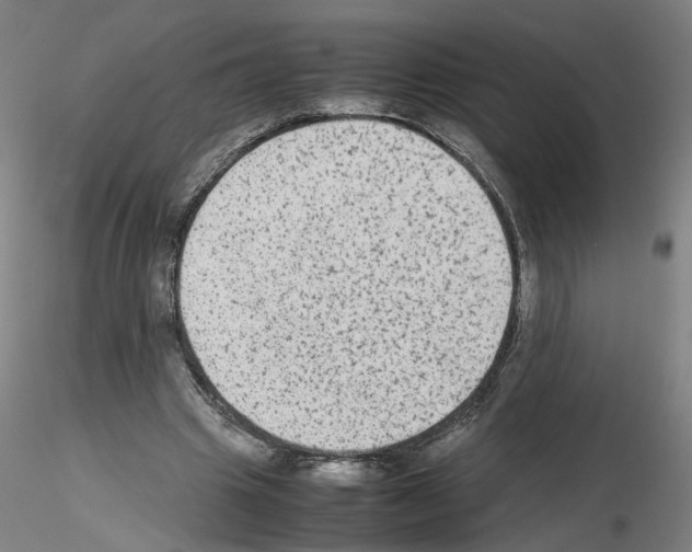 X0000115600441200912221149